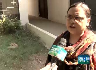 Pangolin found in karachi