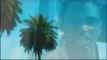 Jim Jones ft Trey Songs-Summer Wit Miami