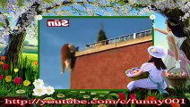 New 2016 CAT Parkour ___Funny 019 - HOT 100℃