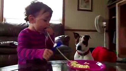 New 2016 cute babies doing funny things,kissing dogs