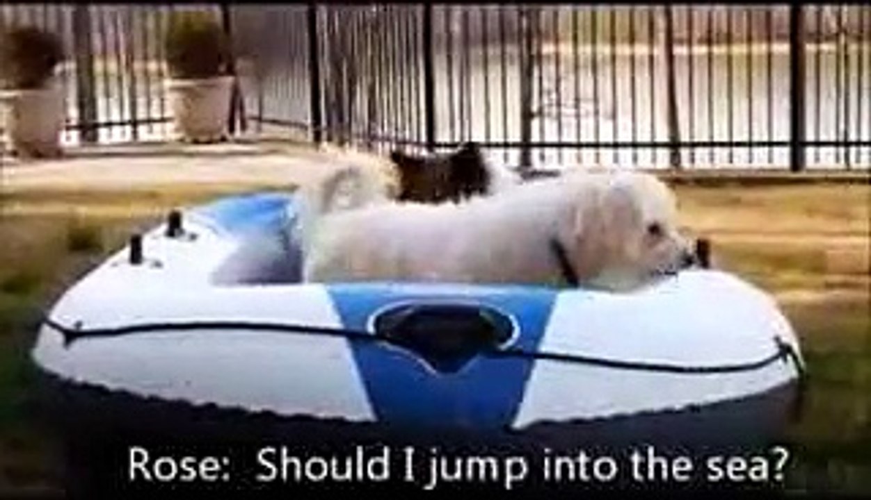 New 2016 ► Comedy Titanic Dogs Movie► Best 2014