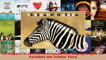 Download  Es begann in Afrika Unvergessliche Begegnungen im Paradies der wilden Tiere PDF Online