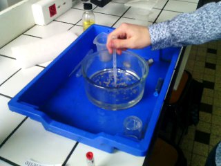 Tension superficielle du lait et du poivre #2