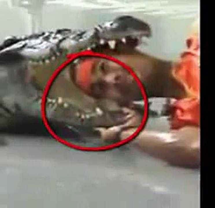 New 2016 Zoo animals doing tricks - best funny animals compilation