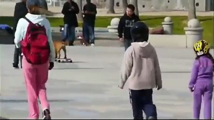 Kaykay Yapan Sevimli Köpek Video izle