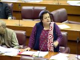 PTI Shireen Mazari on National Action Plan and Counter Terrorism Policy