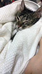 Александр Бон (shponks) on Periscope [2015-12-18 22-29] Соня‼️ покерфэйс