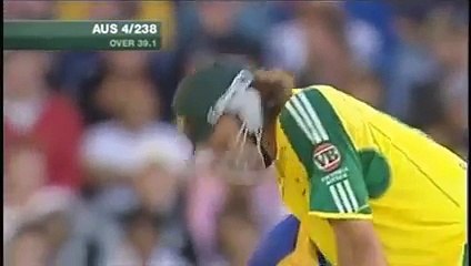 Cricket The Most Rare and Funny Moments in Cricket History
