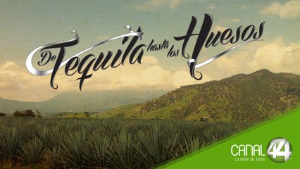 De Tequila Hasta los Huesos - El Tequila y la embriaguez