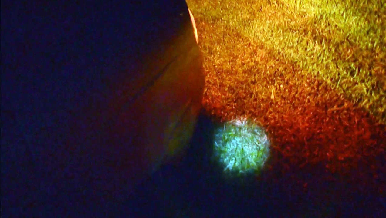 UFO Sightings Skeptics Stunned  With Historic Video  Shocking UFO Footage!!!