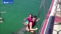 Dolphin pokes girl as she climbs back onto the boat