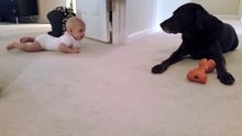 bebe