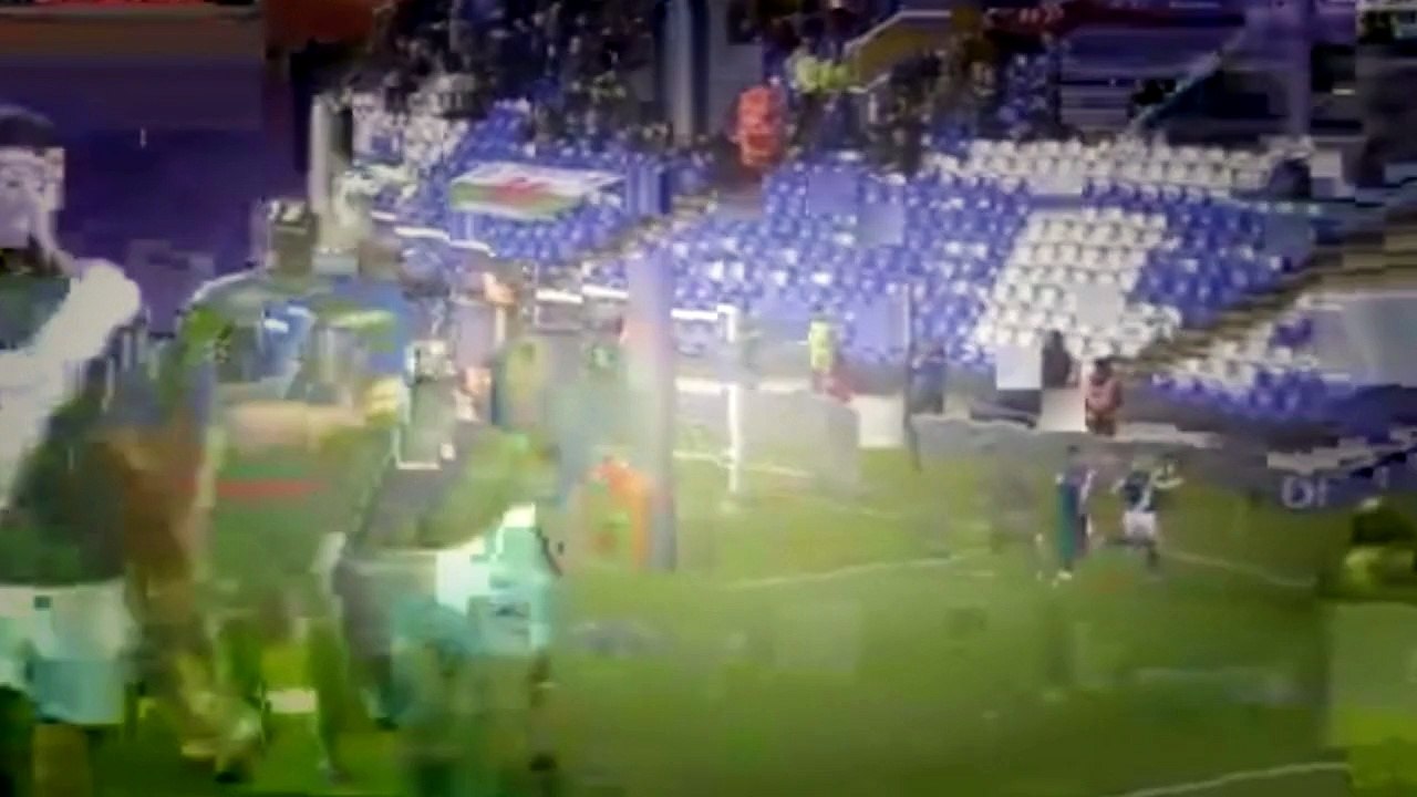 Birmingham vs Cardiff (1-0) All Goals 18.12.2015