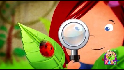 الحواس الخمسة - قناة بيبي الفضائية