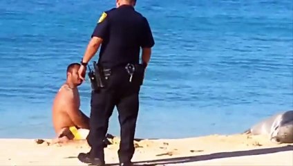 Man throws sand at seal before getting police beatdown