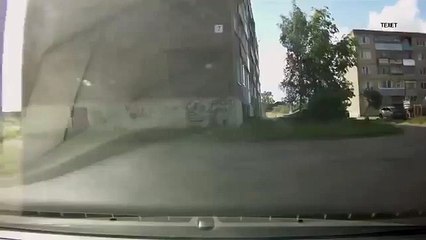 This how you DO NOT walk your dog