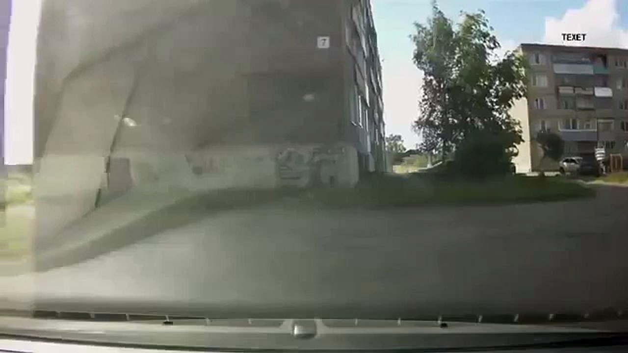 This how you DO NOT walk your dog