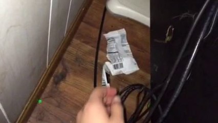 Un chat donne un coup de patte à son maître