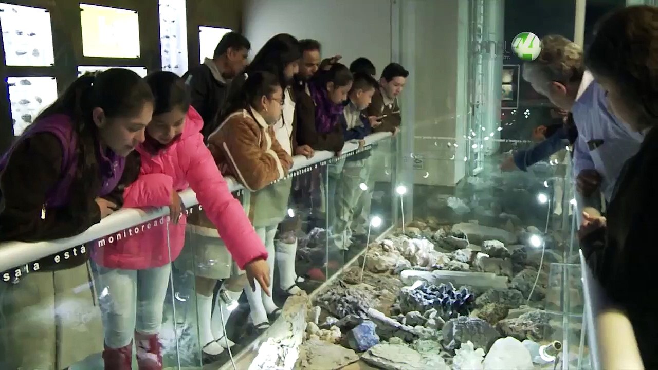 Facetas 2015 Museo Paleontología