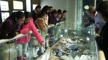 Facetas 2015 Museo Paleontología