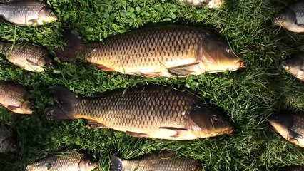 Как сделать удочку с боковым кивком на летнюю мормышку