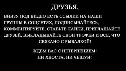 Как сохранить опарыш