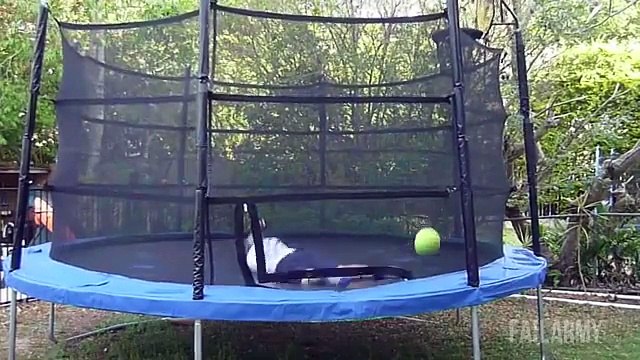 Ultimate Basketball Fails Compilation March Badness by FailArmy