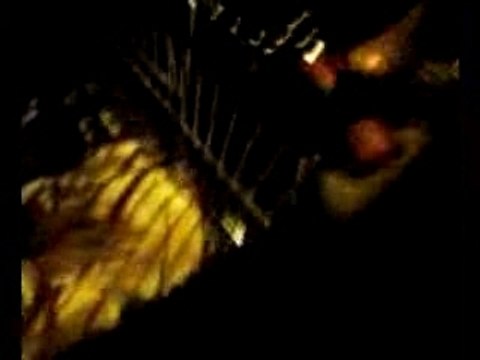 Le portugais en boite