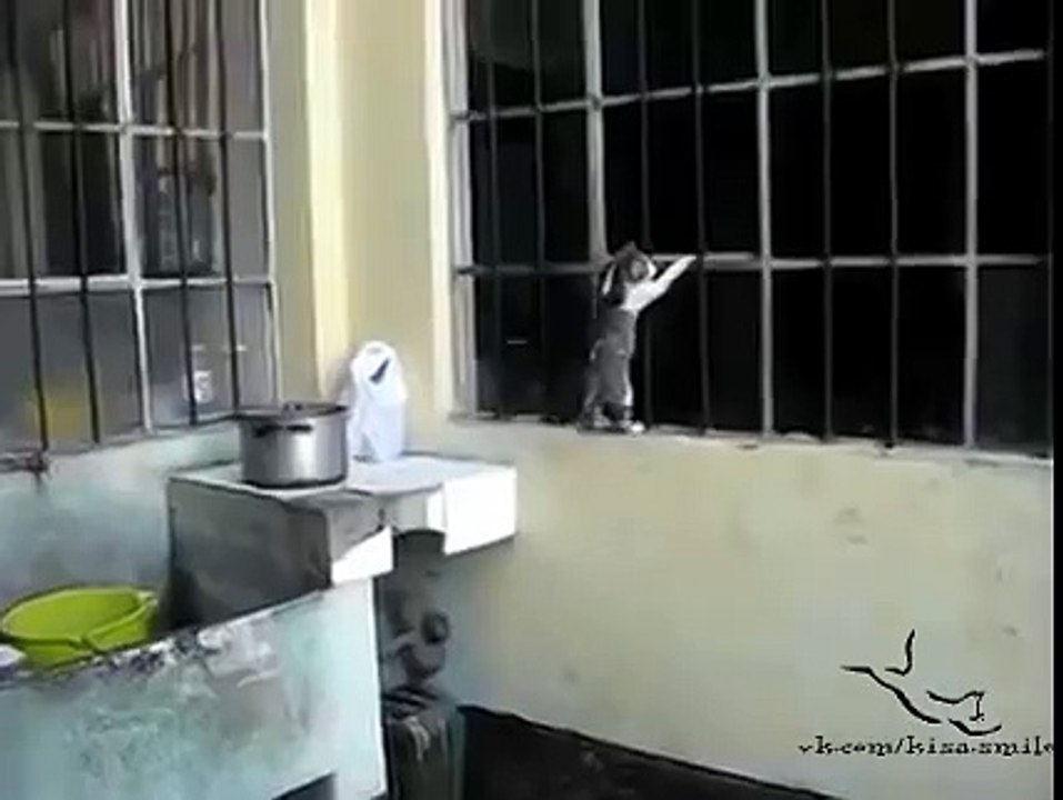 Котомама не бросит своего ребенка в беде