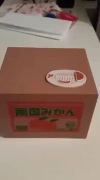 Coin Stealing Cat Orange Box Piggy Bank