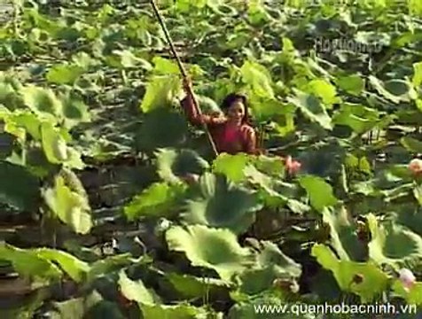 Ai xuôi về - NSND Thúy Hường - Quan họ Bắc Ninh