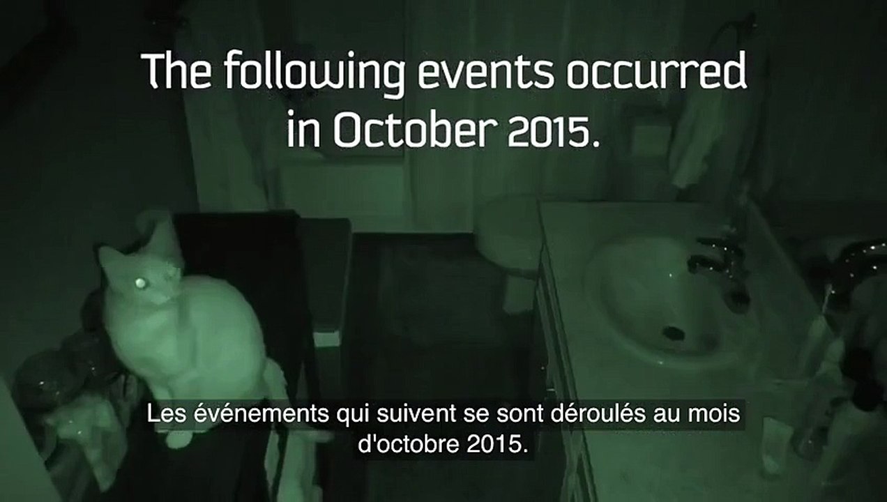 Il a placé une caméra pour surveiller ses chats la nuit. Le résultat est inquiétant !