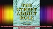 The Street Addict Role A Theory of Heroin Addiction SUNY Series the New Inequalities