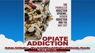 Opiate Addiction  The Painkiller Addiction Epidemic Heroin Addiction and the Way Out