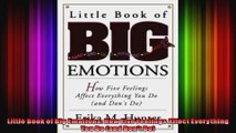 Little Book of Big Emotions How Five Feelings Affect Everything You Do and Dont Do