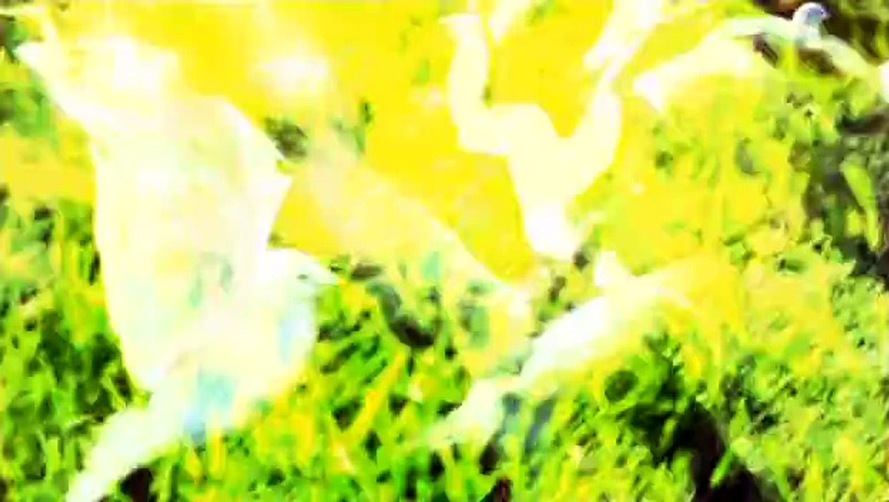 The Secret Life of Us - S4 E20