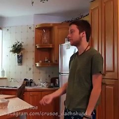 Funny Dachshund EMS Response - Choking Victim! - Vine