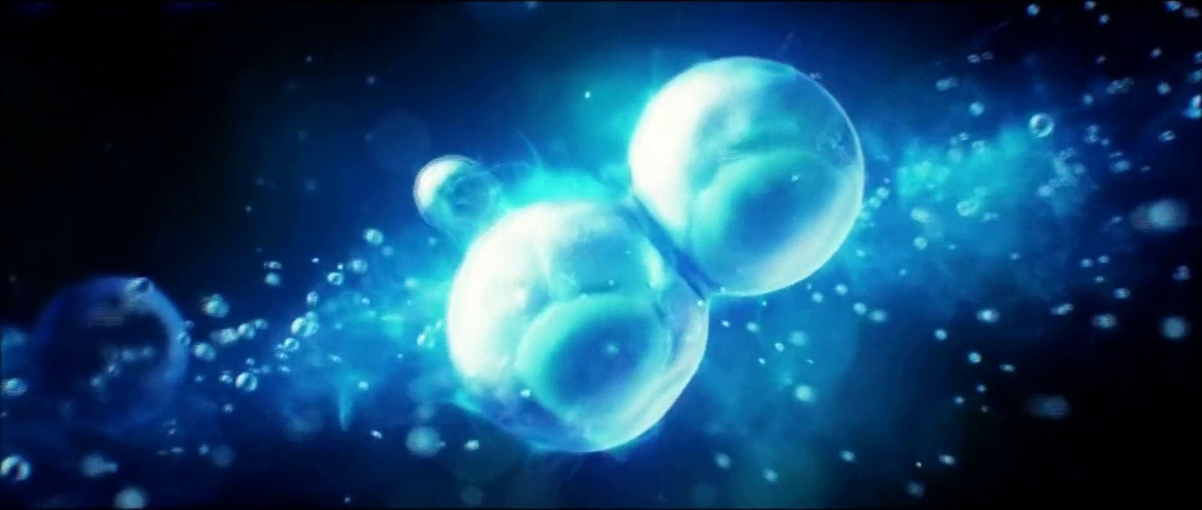 X-Mex Trailer
