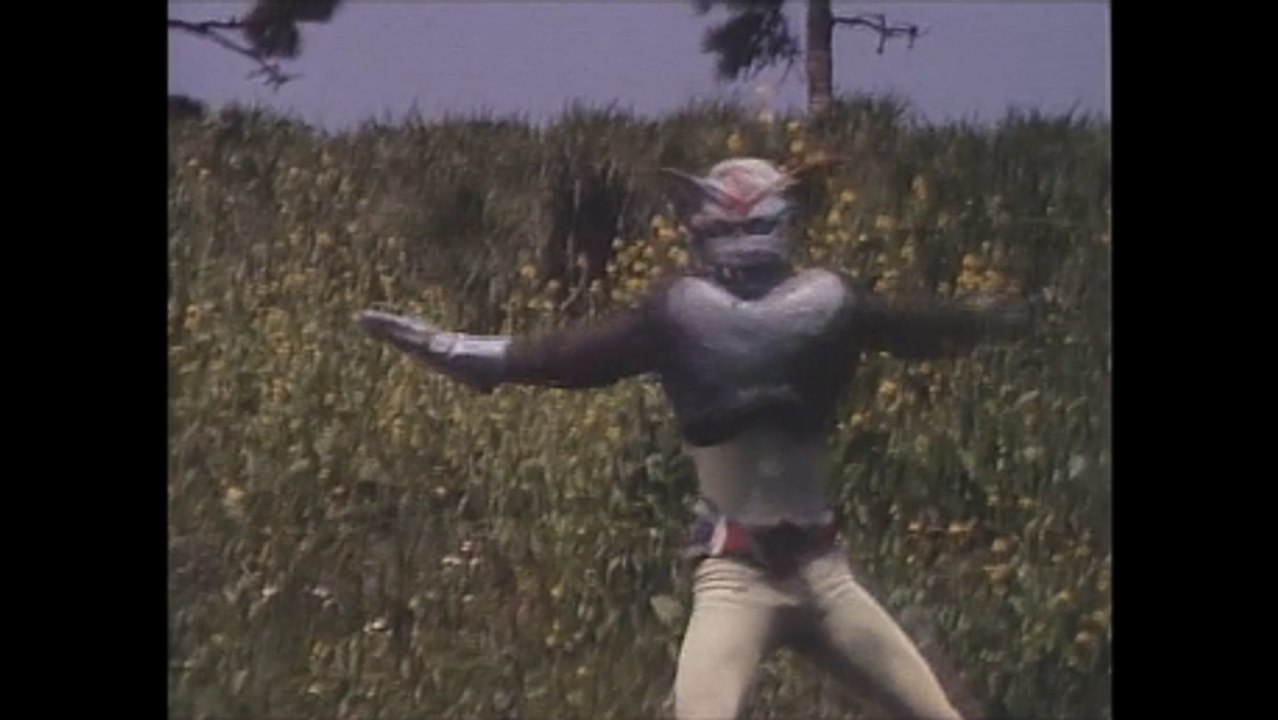 Barom 1 vs. Angoruge