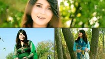 Ma Muhabbat Kary Ta Sara Yara - Wafa Khan - Pashto New Songs 2016 HD