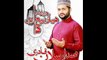 Chan Charya Rabi ul Awal Da - Muhammad Arslan Qadri - New Naat Album [2016] - Naat Online