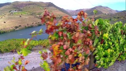 GLOBO REPÓRTER - Portugal - 18-12-2015 Parte Única Online Completo Íntegra 18/12/2015 HD 720p