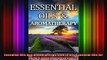 Essential Oils and Aromatherapy How to Use Essential Oils for Beauty Health and