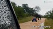 Angry elephant flips over tourists' car in safari park