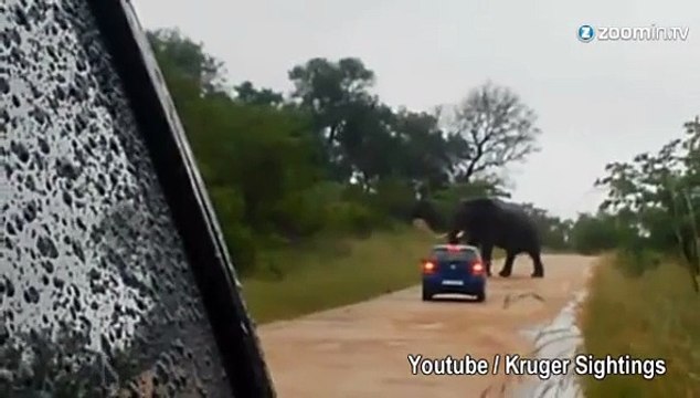 Angry elephant flips over tourists' car in safari park