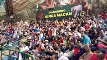 Atraksi Menegangkan Seorang Pria Menaklukan Dua Harimau