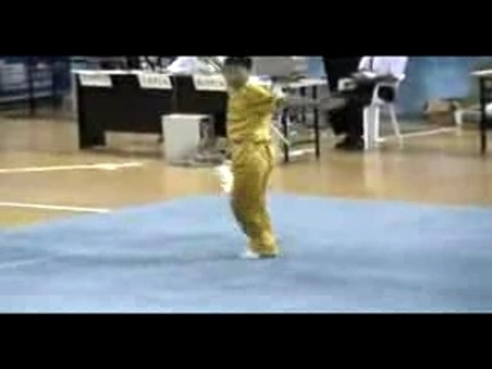 WUSHU MASTERS CHINA