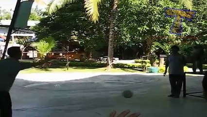 Funny animals playing sports _ Cute animal compilation