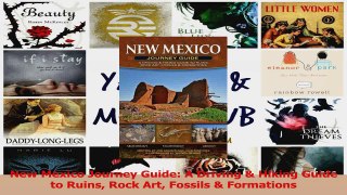 Download  New Mexico Journey Guide A Driving  Hiking Guide to Ruins Rock Art Fossils  Formations Ebook Online