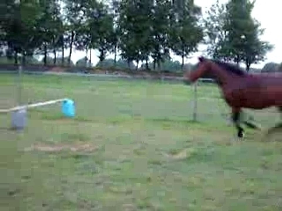 folie 3 et saut!